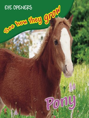 cover image of Pony